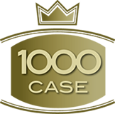 +1000 case costruite