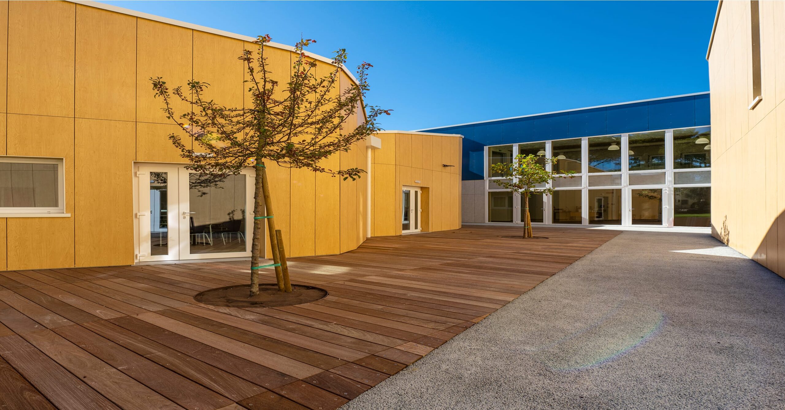 Schools and Kindergartens